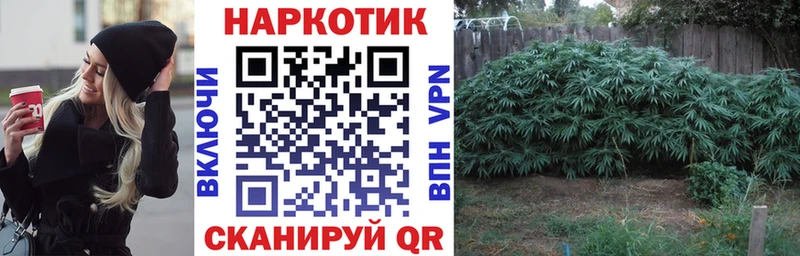 Альфа ПВП Керчь