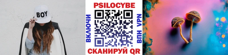 Псилоцибиновые грибы мицелий  ОМГ ОМГ   Керчь 